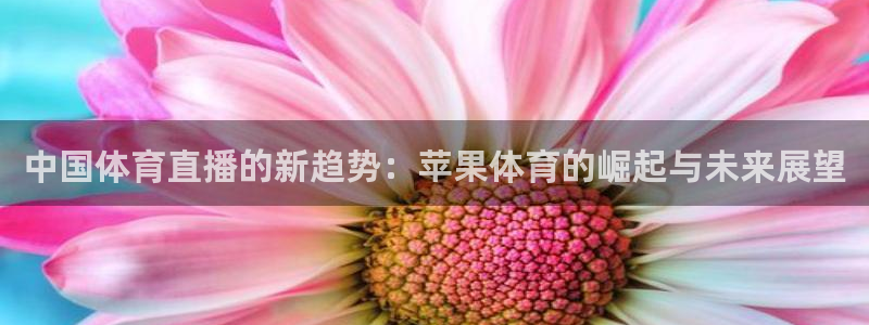 178篮球直播在线直播nba：中国体育直播的新趋势：苹果体育的崛起与未来展望