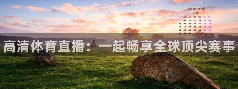 178篮球直播：高清体育直播：一起畅享全球顶尖赛事
