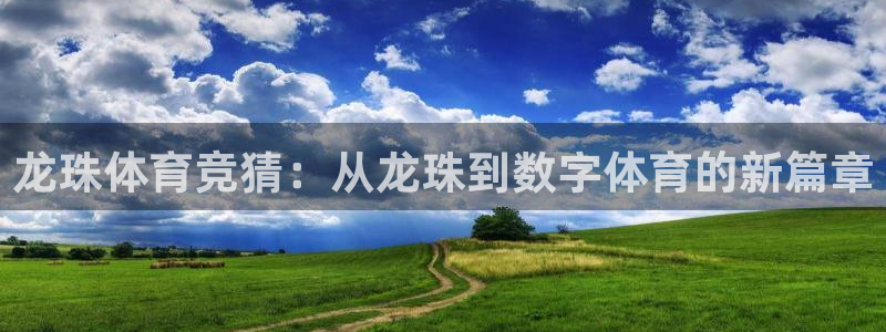 178直播nba免费观看：龙珠体育竞猜：从龙珠到数字体育的新篇章
