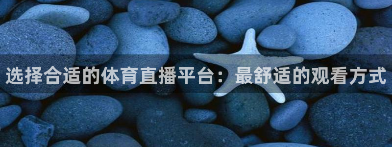 178直播nba免费观看：选择合适的体育直播平台：最舒适的观看方式