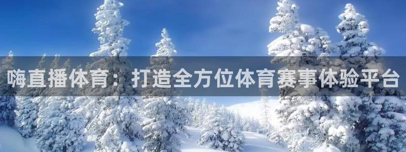 足球直播178高清直播：嗨直播体育：打造全方位体育赛事体验平台