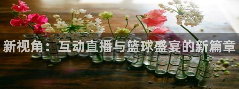178足球体育比赛直播：新视角：互动直播与篮球盛宴的新篇章