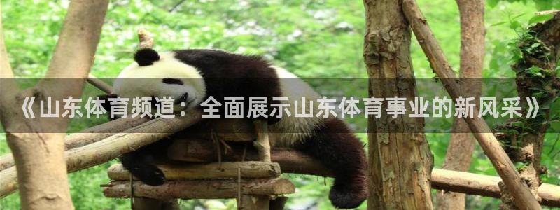 178足球直播在线观看：《山东体育频道：全面展示山东体育事业的新风采》