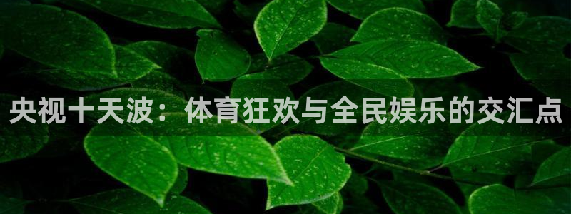 178足球免费直播在线观看：央视十天波：体育狂欢与全民娱乐的交汇点