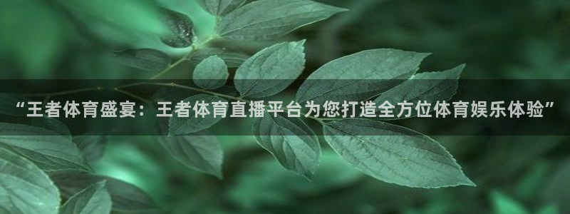 足球比赛178直播：“王者体育盛宴：王者体育直播平台为您打造全方位体育娱乐体验”