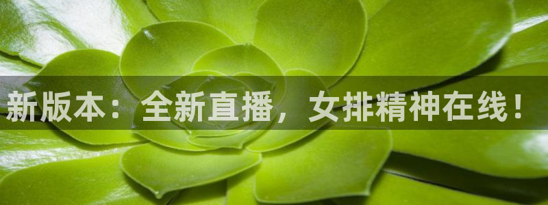 178直播体育app官网下载app新版.最新进.org：新版本：全新直播，女排精神在线！