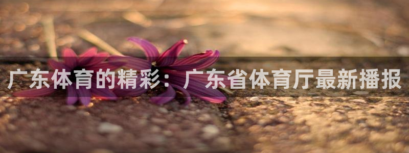 178体育直播在线nba：广东体育的精彩：广东省体育厅最新播报