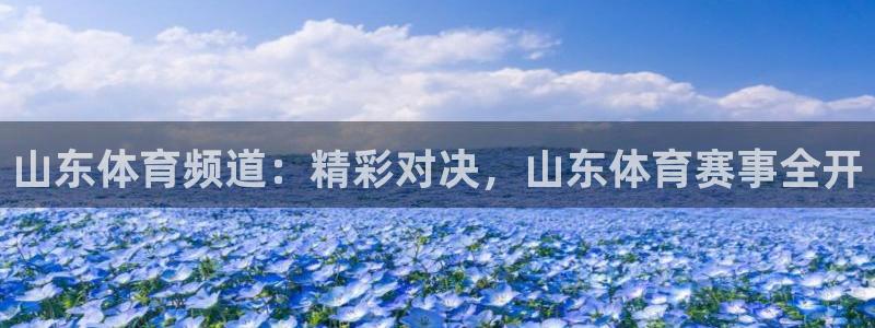 178足球比赛直播在线：山东体育频道：精彩对决，山东体育赛事全开