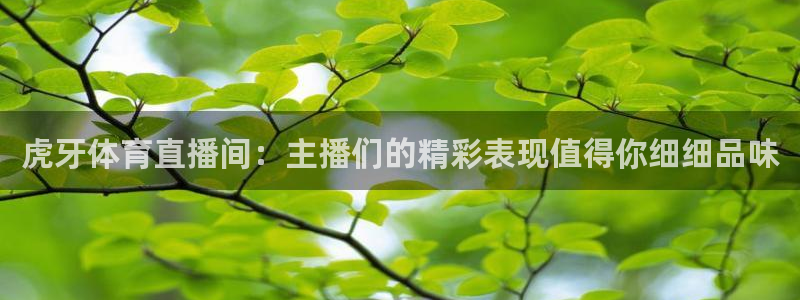 足球直播免费观看直播178：虎牙体育直播间：主播们的精彩表现值得你细细品味