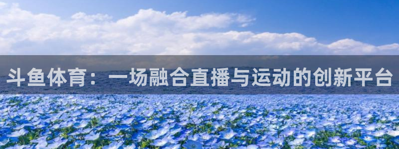 178直播体育免费观看：斗鱼体育：一场融合直播与运动的创新平台