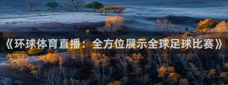 178直播足球篮球赛事：《环球体育直播：全方位展示全球足球比赛》