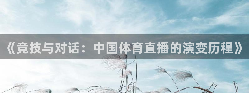 178免费直播nba：《竞技与对话：中国体育直播的演变历程》