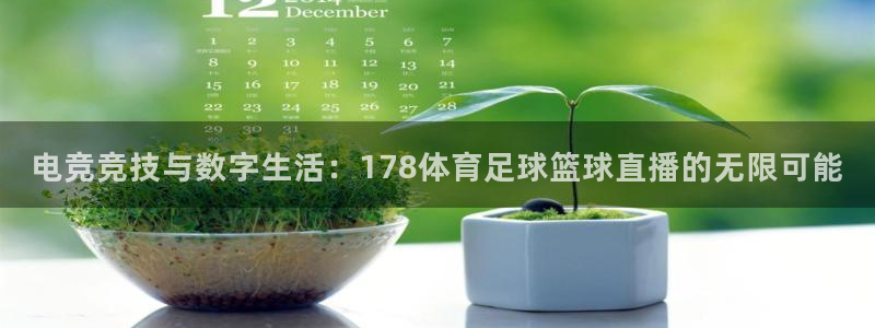 看球网直播nba篮球178：电竞竞技与数字生活：178体育足球篮球直播的无限可能