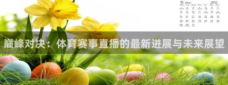 178在线体育直播：巅峰对决：体育赛事直播的最新进展与未来展望