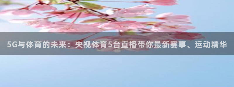 178篮球直播免费观看：5G与体育的未来：央视体育5台直播带你最新赛事、运动精华